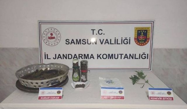 Samsun'da yasa dışı kenevir ekimi ve esrar üretimi ile ilgili şüpheli gözaltına alındı