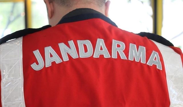 Aydın'da Jandarma'dan 'kaçak av' operasyonu