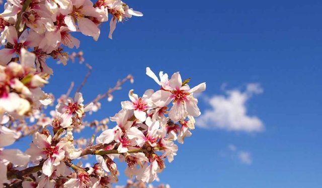 İkinci cemre ne zaman düşecek? 2. cemre suya hangi tarihte düşüyor?