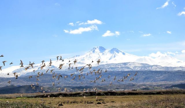 Erciyes Dağı eteğinde doğal cennet: Hürmetçi Sazlığ
