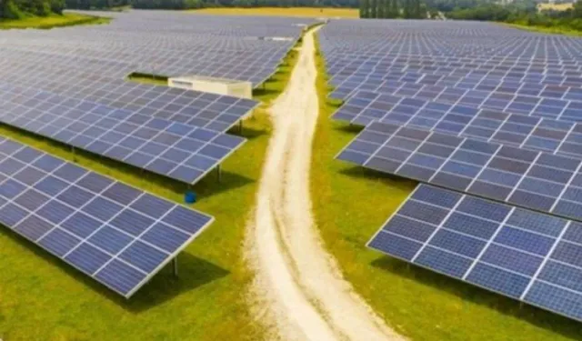Bergama'da UNESCO mirası tarım arazisine güneş enerjisi santrali: ÇED gerekli değil!
