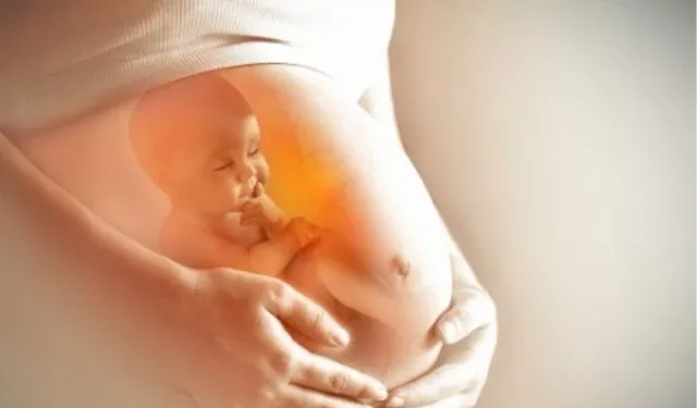 Erken hamilelik belirtileri nelerdir? Hamilelik haftası nasıl hesaplanır?