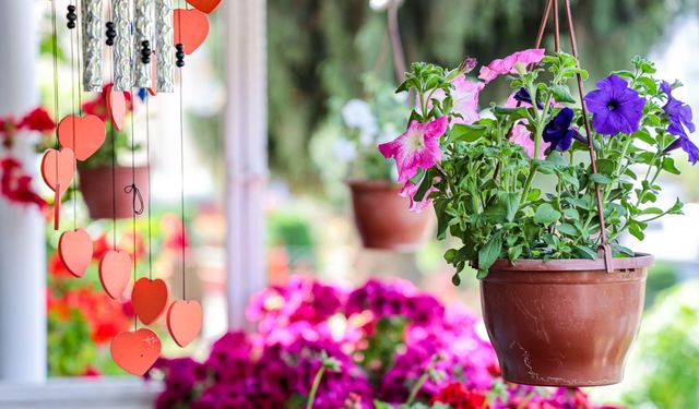 Karşıyaka'da çiçekler yarışıyor: En güzel balkon ve bahçeler seçilecek!