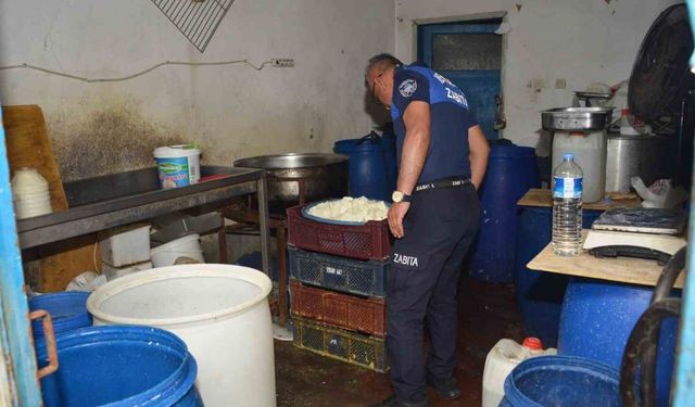 Mersin'de sağlıksız peynir skandalı! kaçak imalathane tespit edildi