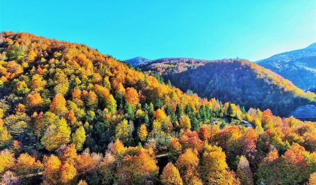 Düzce'de hangi dağlar var? Düzce'nin en yüksek dağı hangisi?