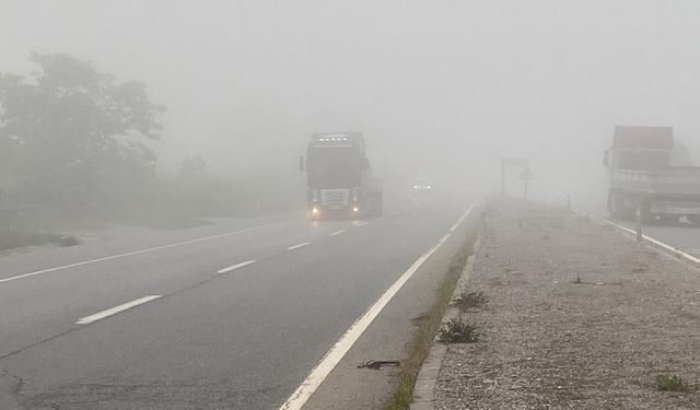 Sakarya'da sislere boğulan sabah! Hendek'te görüş mesafesi 20 metreye düştü