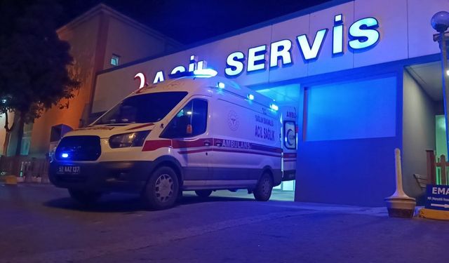 Ordu'da korkunç kaza: Hafif ticari araç fındık bahçesine takla attı!