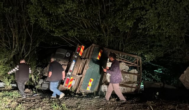 Bolu'da frenleri boşalan canlı tavuk yüklü kamyon uçuruma devrildi: Sürücü yaralı, yüzlerce tavuk telef