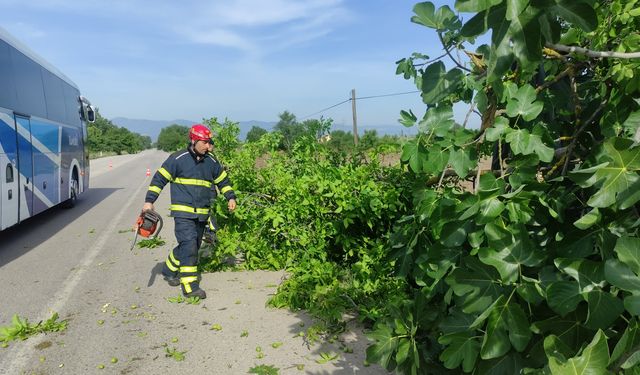 Orhangazi'de uyuklayan sürücü direksiyon hakimiyetini kaybetti: Kamyonet ağaca çarpıştı!