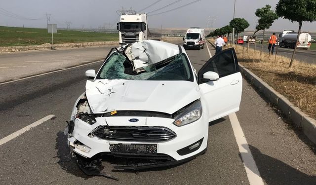 Batman’da yolun karşısına geçerken otomobilin çarptığı çoban hayatını kaybetti!