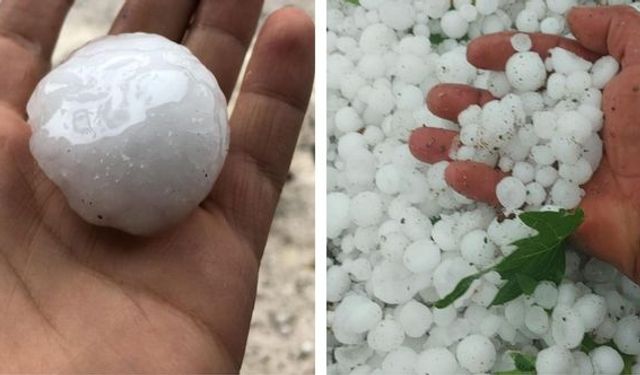 Bilecik'te ceviz büyüklüğündeki dolu seralarda hasar bıraktı!