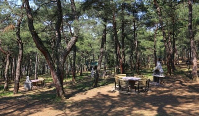Bursa'da ateşli veya ateşsiz her türlü piknik yapılması yasaklandı!