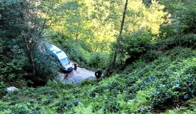 Rize'de çay bahçesinde düşen vatandaş yaralandı