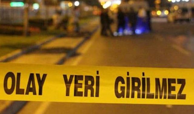 Karabük'te devrilen ağacın altında kalan 21 yaşındaki işçi öldü!