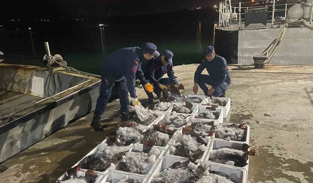 Sinop’ta 2 milyon lira değerindeki kaçak kalkan balığına el konuldu!