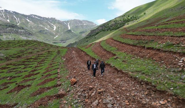 Şırnak'ta umut yeşeriyor: Terörün bittiği dağlar 70 bin fidanla dolacak!