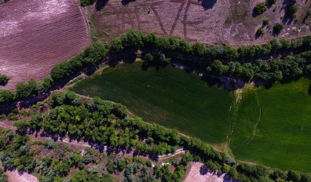 Kahramanmaraş'ta ilginç olay: Tarlasına 'Gazze' yazdı!