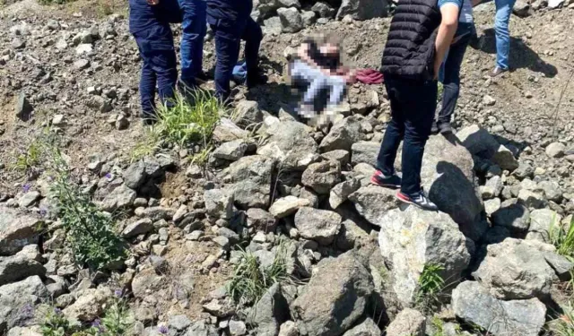 Samsun Çarşamba'da şüpheli ölüm: Genç adam yol kenarında ölü bulundu