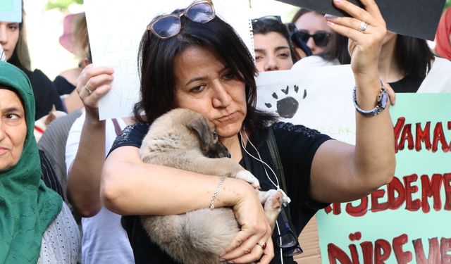 Şanlıurfa'da Hayvan Hakları Savunucuları Sokak Hayvanları İçin Eylem Yaptı: "Öldürmek Çözüm Değil"