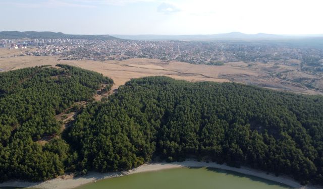 Edirne'de yaz dönemi ormanlara giriş kısıtlaması