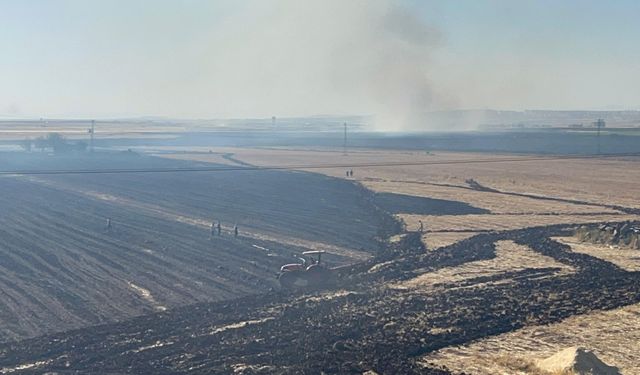 Diyarbakır'da anız ve tarla yangını: 2 yaralı