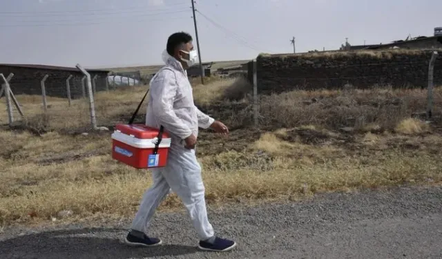 Şanlıurfa Siverek'te kuduz alarmı! Mahalle karantinada, köpekler aşılanıyor