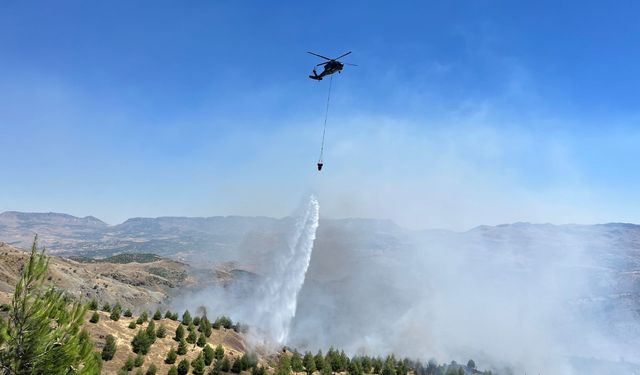 Adıyaman'da alevler kontrolden çıktı!