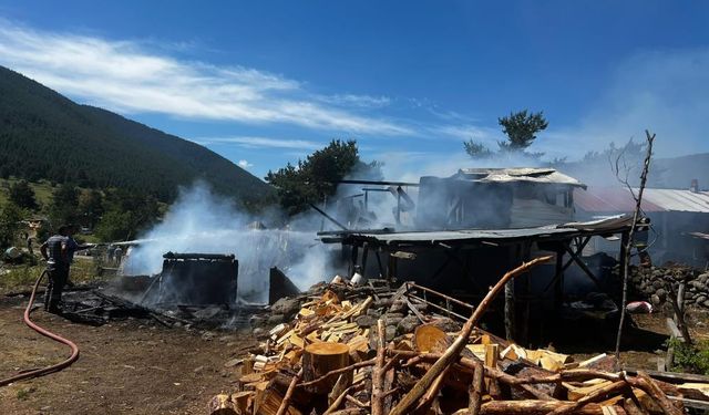 Bolu'da yayla evi yangında küle döndü