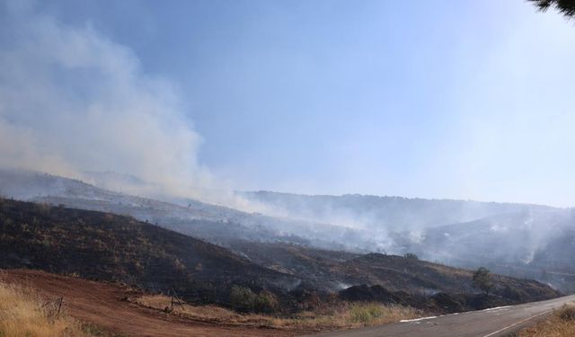 Kahramanmaraş’taki orman yangını kontrol altına alındı