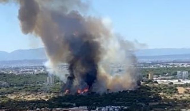 Antalya'da orman yangını: Ekipler havadan ve karadan müdahale ediyor!