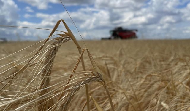 Malatya'da depremzede çiftçilere destek: 40 ton arpa yardımı