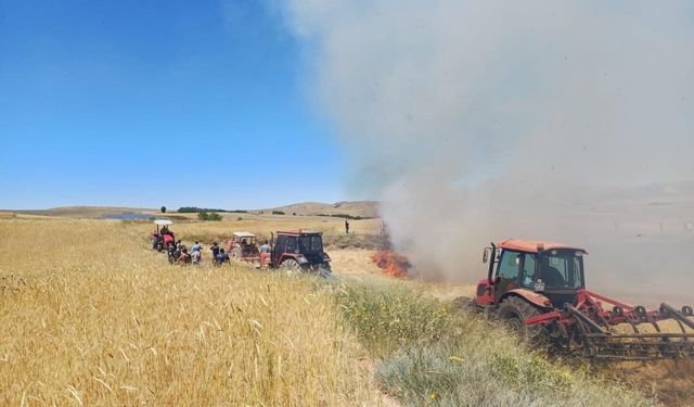 Sivas'ta yangın paniği: Arpa ekili tarla kül oldu, canlılar telef oldu