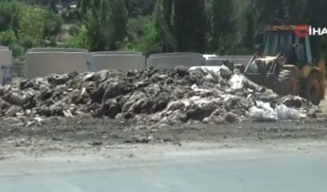 Gaziantep'te mide bulandıran görüntüler: Kurban atıklarını yol kenarına bıraktılar