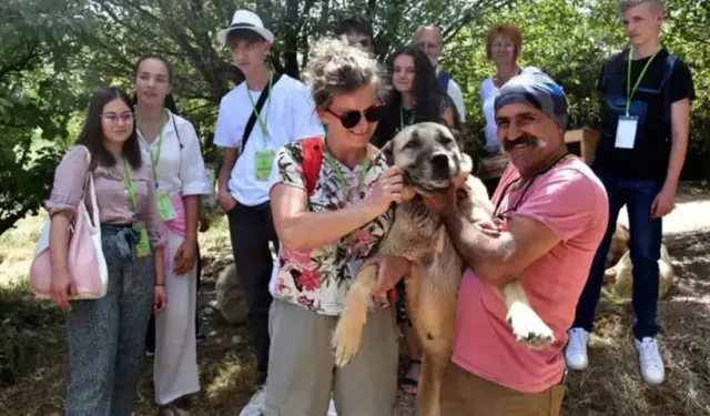 Erasmus+ projesi ile Macaristan ve Yunanistan'dan öğrenci ve öğretmenler kangal köpeklerini ziyaret etti