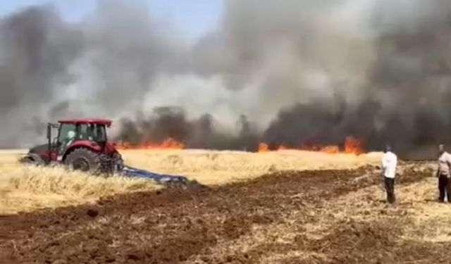 Kızıltepe'de ekili arazide yangın: Yüzlerce dönüm kül oldu!