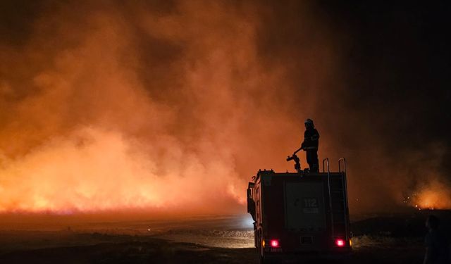 Mardin'de 5 noktada anız yangını