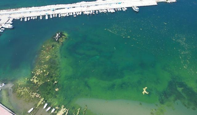 Marmara'nın İncisi kirlilikle boğuşuyor: Kanalizasyon suları denize akıyor!