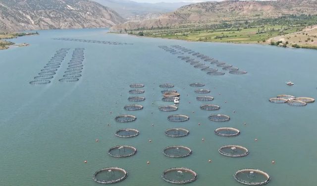 Sivas'ın en değerli ilçesi... Denizi yok ama Rusya'ya tonlarca somon gönderiyor