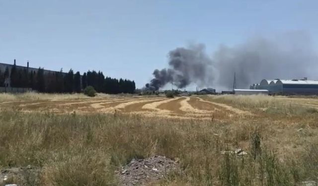 Tekirdağ'da tekstil fabrikasında yangın: Ekipler bölgeye sevk edildi!