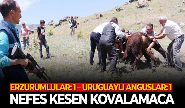 Erzurumlular: 1 – Uruguaylı Anguslar: 1