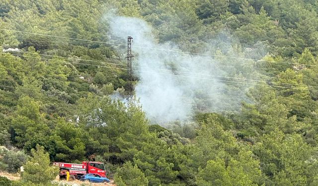 Bodrum'da yangın: Müdahaleler büyümesini engelledi!