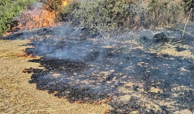 Tekirdağ'da yangın paniği: İtfaiye ekiplerini seferber etti!