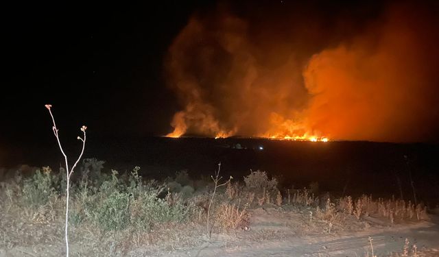 Diyarbakır'da gece başlayan orman yangını söndürüldü!