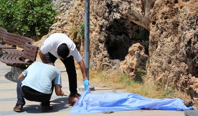 Antalya'da 1 saat önce kavga eden şahsın parkta cesedi bulundu!