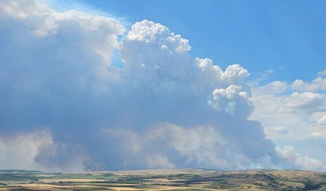 Bulgaristan'daki yangın rüzgarın etkisiyle büyüyor, Edirne tehdit altında