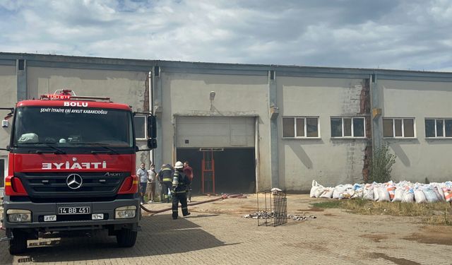 Bolu'da deneme kömürleri talaşları tutuşturdu: Kömür fabrikasında yangın çıktı!