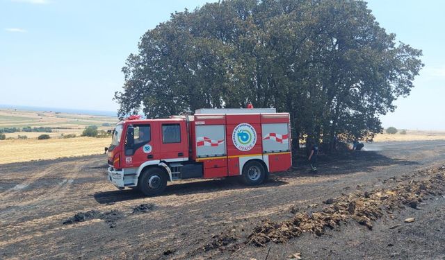 Süleymanpaşa'da anız yangını: 200 dönüm yanıp kül oldu!