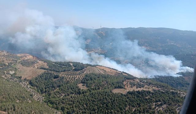 Hatay Belen'deki orman yangınına hava ve kara müdahalesi