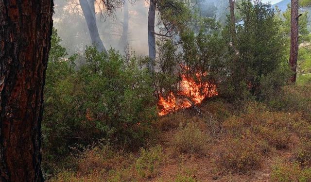 Muğla'da yıldırım kaynaklı 11 orman yangını kontrol altına alındı