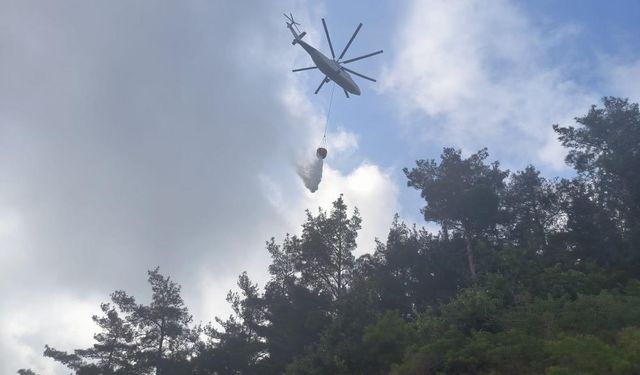 Hatay Arsuz'da orman yangını kısa sürede kontrol altına alındı